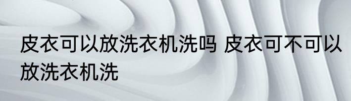 皮衣可以放洗衣机洗吗 皮衣可不可以放洗衣机洗