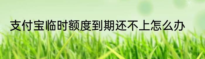 支付宝临时额度到期还不上怎么办