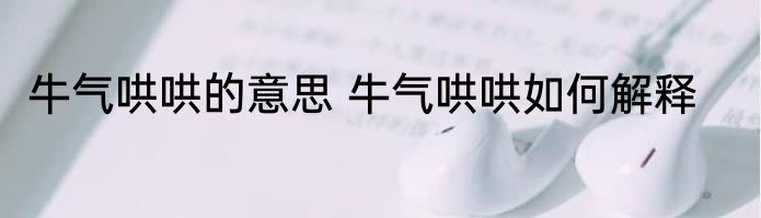 牛气哄哄的意思 牛气哄哄如何解释