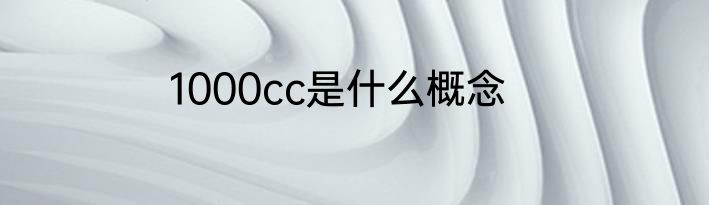 1000cc是什么概念