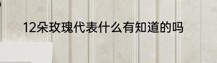 12朵玫瑰代表什么有知道的吗