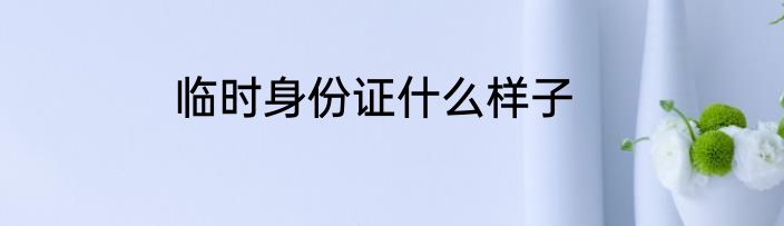 临时身份证什么样子