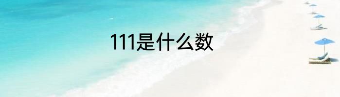 111是什么数