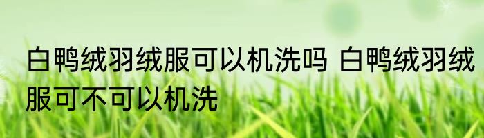 白鸭绒羽绒服可以机洗吗 白鸭绒羽绒服可不可以机洗