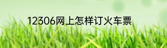 12306网上怎样订火车票