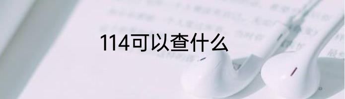 114可以查什么