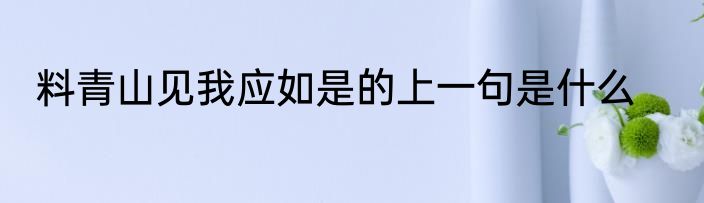 料青山见我应如是的上一句是什么