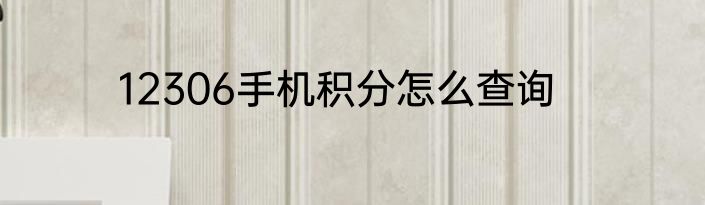 12306手机积分怎么查询