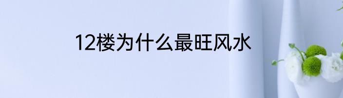 12楼为什么最旺风水