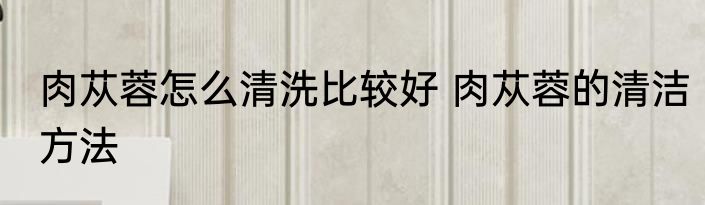 肉苁蓉怎么清洗比较好 肉苁蓉的清洁方法