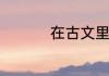 在古文里乃是什么意思