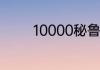 10000秘鲁币兑换人民多少