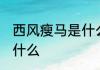 西风瘦马是什么意思 西风瘦马意思是什么