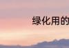 绿化用的树有哪些种类