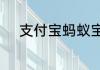 支付宝蚂蚁宝卡用着到底怎么样