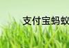 支付宝蚂蚁小宝卡是什么卡