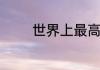 世界上最高阶魔方是多少阶