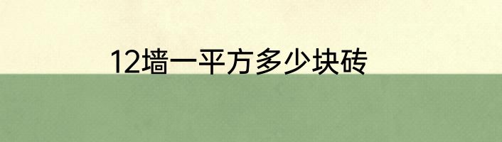 12墙一平方多少块砖