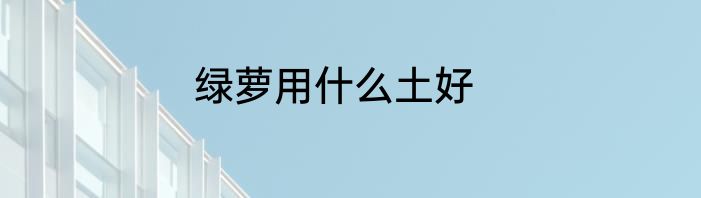 绿萝用什么土好