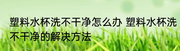 塑料水杯洗不干净怎么办 塑料水杯洗不干净的解决方法