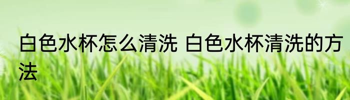 白色水杯怎么清洗 白色水杯清洗的方法