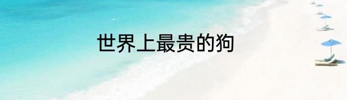 世界上最贵的狗