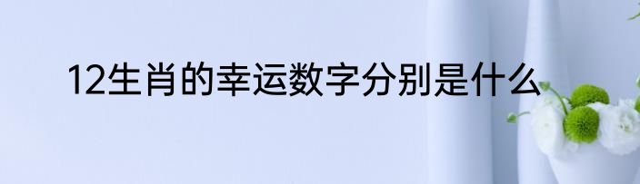 12生肖的幸运数字分别是什么