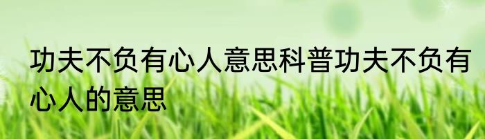 功夫不负有心人意思科普功夫不负有心人的意思