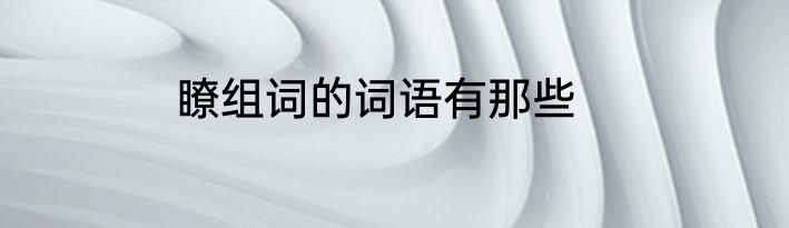 瞭组词的词语有那些