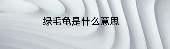 绿毛龟是什么意思