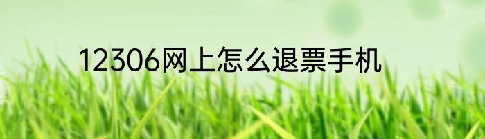 12306网上怎么退票手机