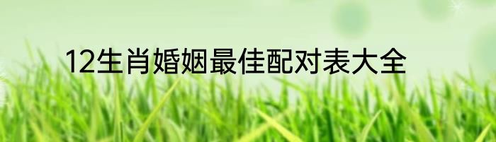 12生肖婚姻最佳配对表大全