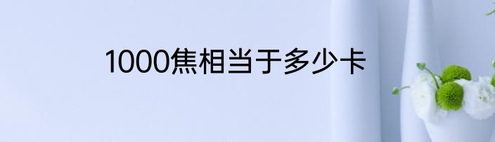 1000焦相当于多少卡