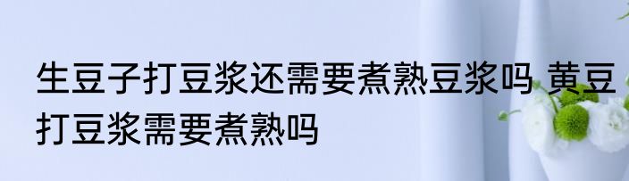 生豆子打豆浆还需要煮熟豆浆吗 黄豆打豆浆需要煮熟吗