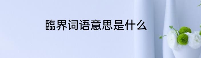 臨界词语意思是什么