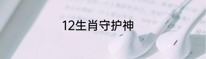 12生肖守护神