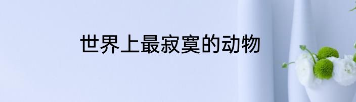 世界上最寂寞的动物