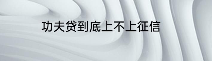功夫贷到底上不上征信