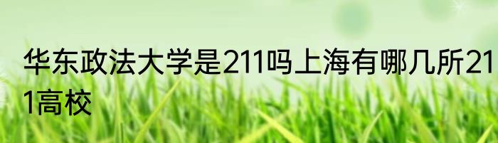 华东政法大学是211吗上海有哪几所211高校