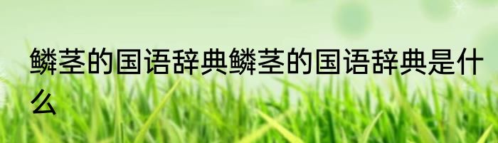鳞茎的国语辞典鳞茎的国语辞典是什么