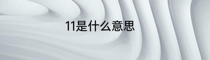 11是什么意思