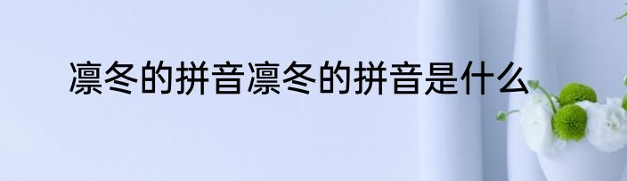 凛冬的拼音凛冬的拼音是什么
