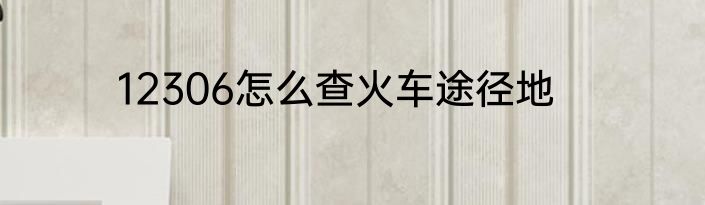 12306怎么查火车途径地