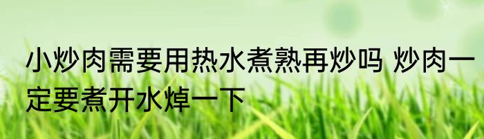 小炒肉需要用热水煮熟再炒吗 炒肉一定要煮开水焯一下