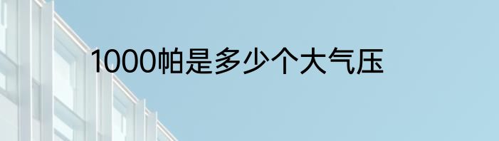 1000帕是多少个大气压