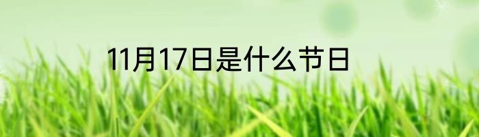 11月17日是什么节日