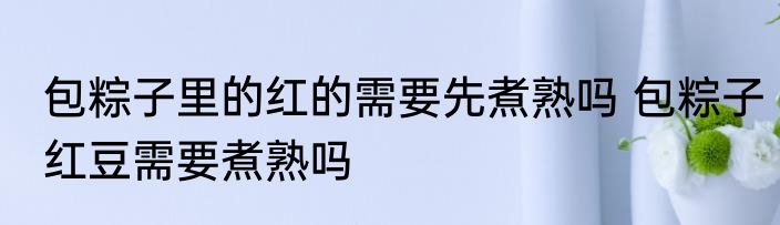 包粽子里的红的需要先煮熟吗 包粽子红豆需要煮熟吗