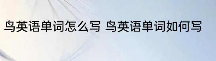鸟英语单词怎么写 鸟英语单词如何写