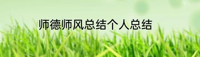 师德师风总结个人总结