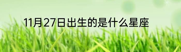 11月27日出生的是什么星座